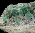 Fluorite & Galena Cluster - Rogerley Mine #60366-1